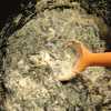 Copycat Cheddars Spinach Dip